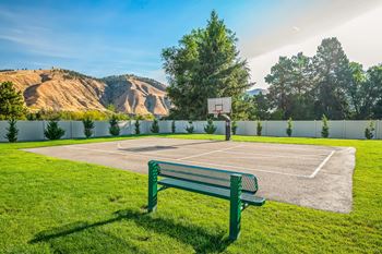 Pickleball court